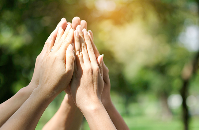 Multiple Hands Joined Together